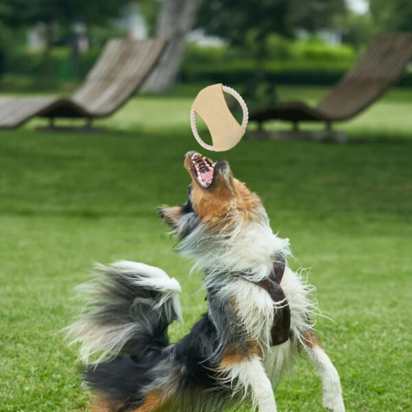 Juego para Mascotas NUEVO - Image 3
