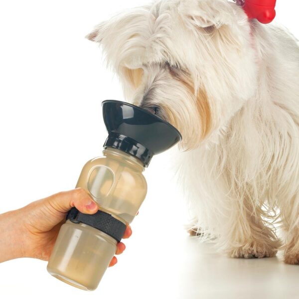 Botilito para Mascotas 580ml - Image 2