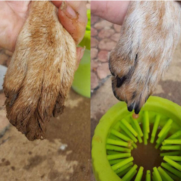 LIMPIADOR PAW TALLA L - Image 4