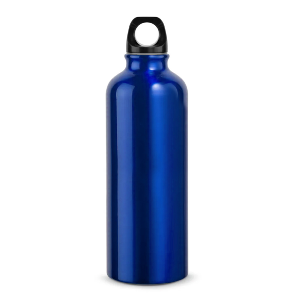 BOTELLA MURRAY 500ML - Image 3