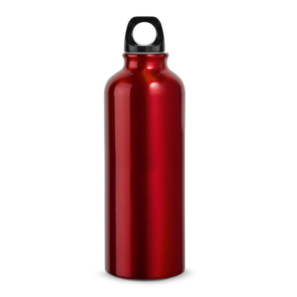 BOTELLA MURRAY 500ML - Image 6