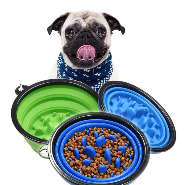 PLATO GUAPA - Image 11
