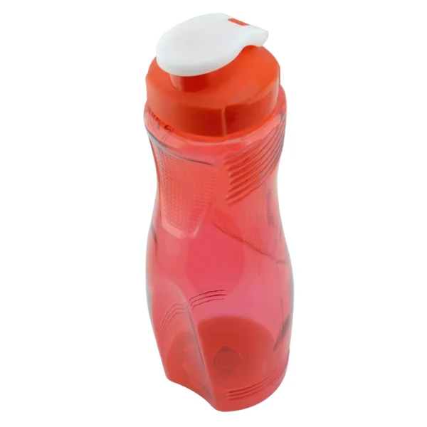 Botilito 1 - Image 8