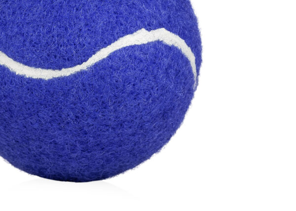 Pelota para mascotas Marley - Image 4