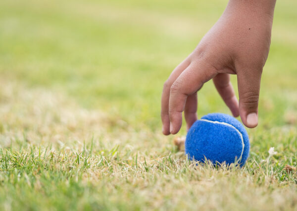 Pelota para mascotas Marley - Image 6