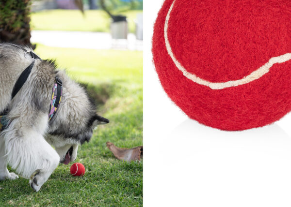Pelota para mascotas Marley - Image 8