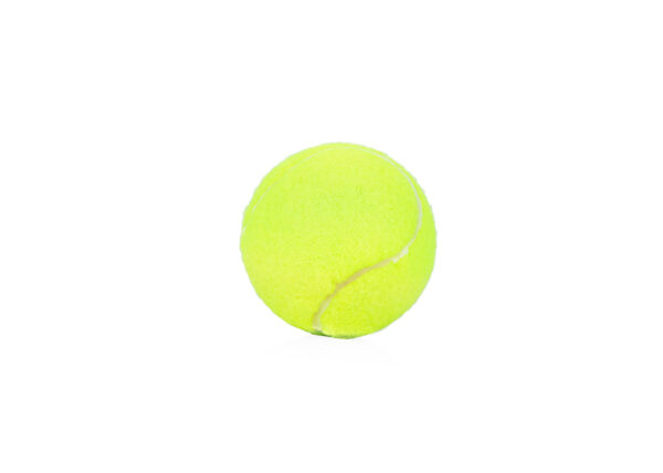 Pelota para mascotas Marley - Image 10
